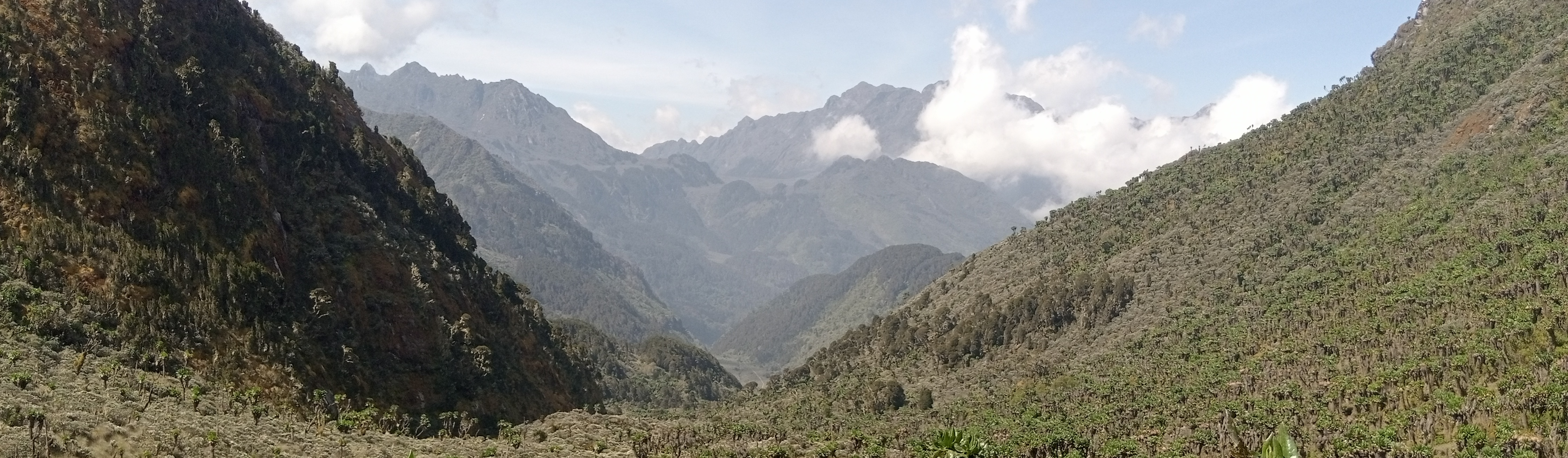 Wide Image of Mahoma Trail